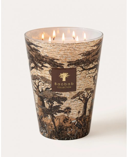Baobab - Secret Trees - Mankono Black Sc...