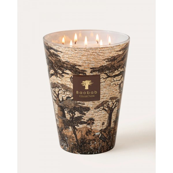Baobab - Secret Trees - Mankono Black Sc...