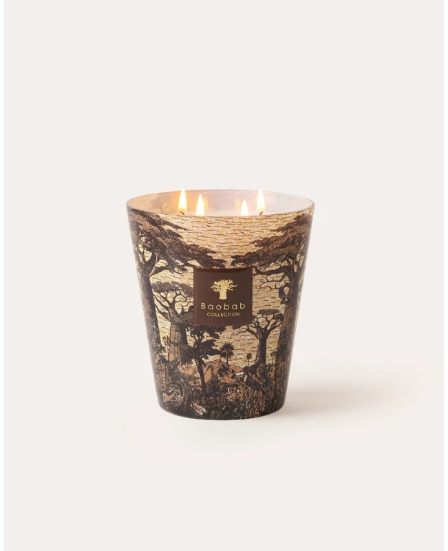 Baobab - Secret Trees - Mankono Black Scented Candle