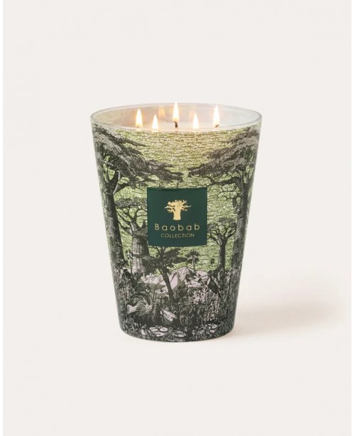 Baobab - Secret Trees - Touba Green Scen...