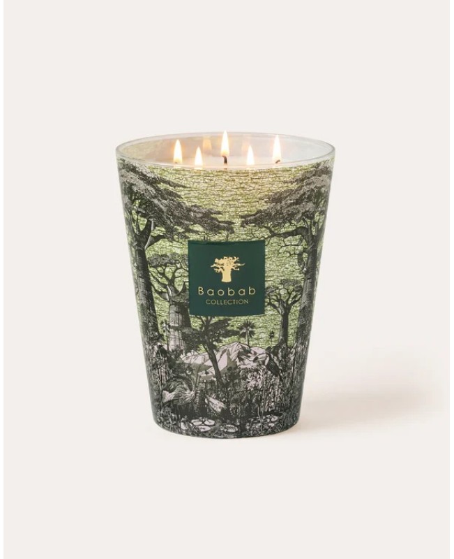 Baobab - Secret Trees - Touba Green Scented Candle