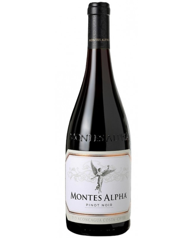 Pinot Noir Alpha Montes 75cl - Aconcagua Valley