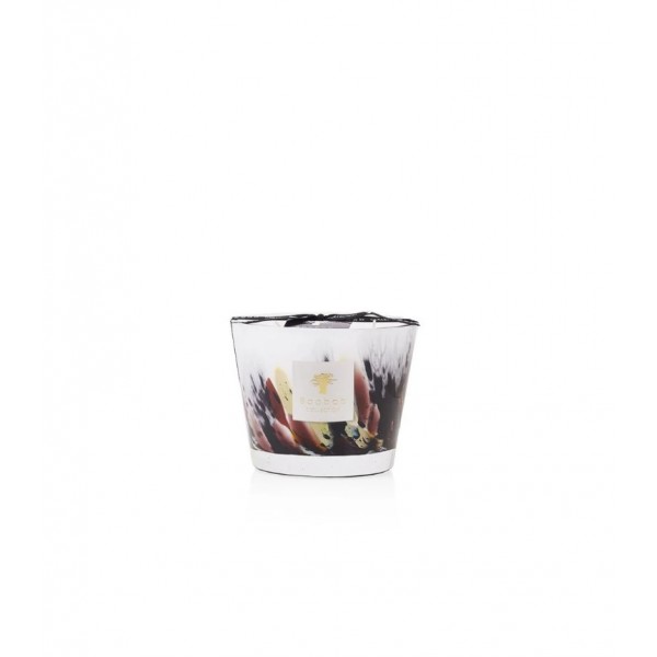 Baobab - Rainforest - Tanjunk Scented Ca...