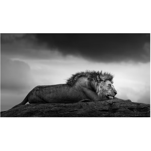 Siggesson - The Dreamer