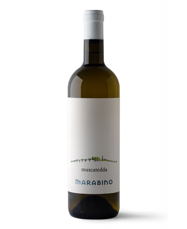 6 btls Moscato (Dry) Muscatedda, Marabino 75 cl - Sicilia