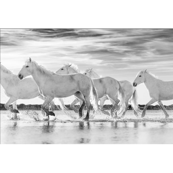 Siggesson - As If They Were Angels