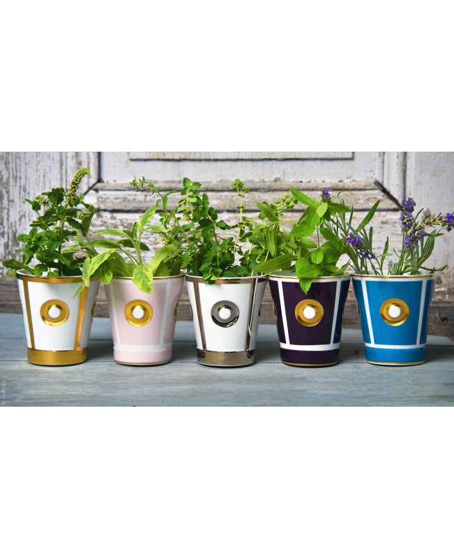 Bernardaud - Eolie - Gold Goblet