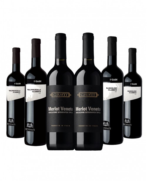 Veneto Reds 6 bottles (Wine Mixed Case)