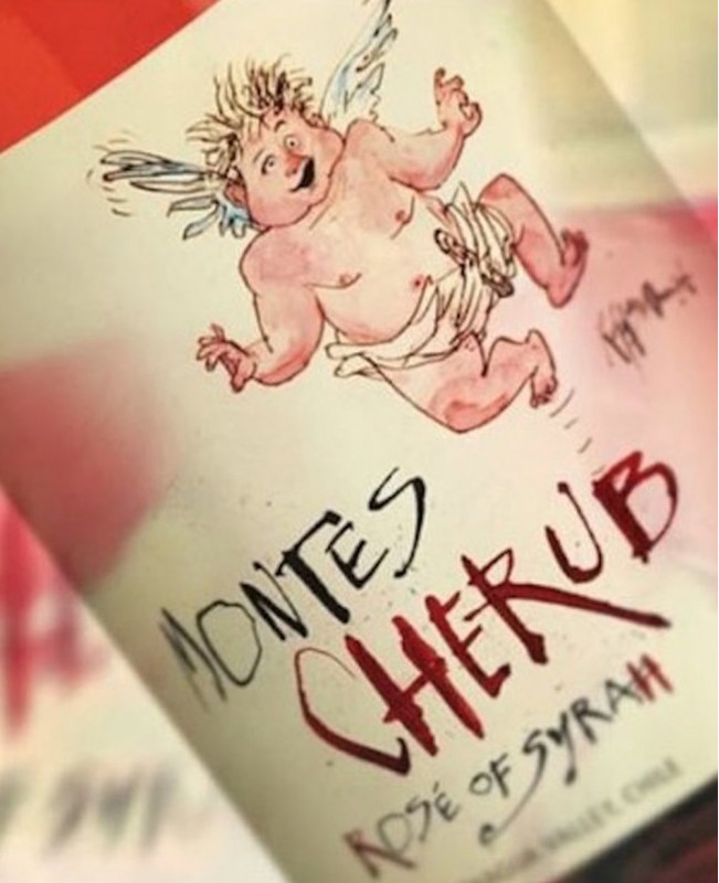 Syrah Rose Cherub Montes 75 cl - Colchagua Valley