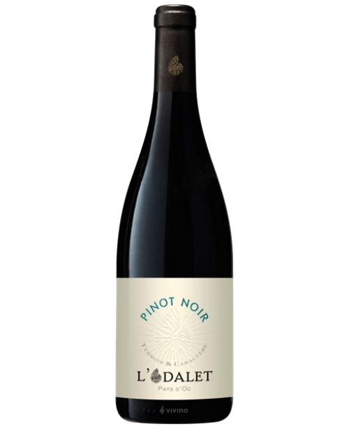 Pinot Noir VDP D'Oc (L'Odalet)
